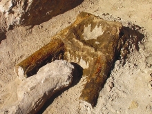 Археолошки истражувања кај Могила
