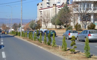 Нови украсни садници се засадуваат во Делчево