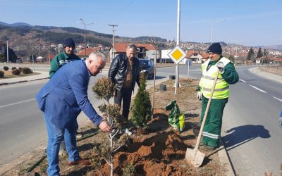 Се засадуваат нови садници во Делчево