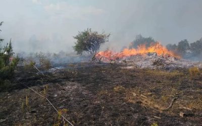 Апел од Општина Делчево: да го заштитиме шумското богатство од пожари