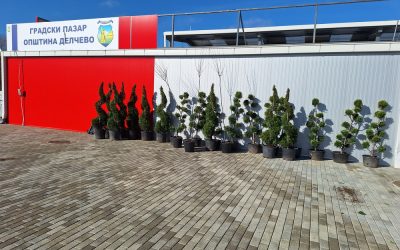 Се засадуваат нови садници во Делчево