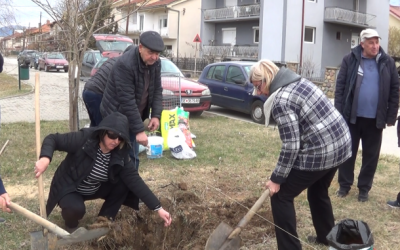 Никнува уникатен гинко-парк во Делчево -донација на семејството Давиткови