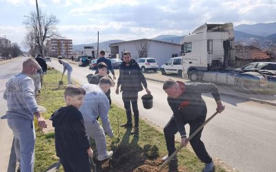 Голема акција за пошумување: Ќе се врати миризбата на липите во Делчево