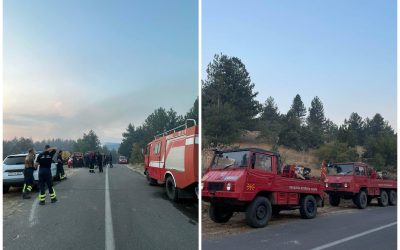 Пожарот кај с. Бигла под контрола
